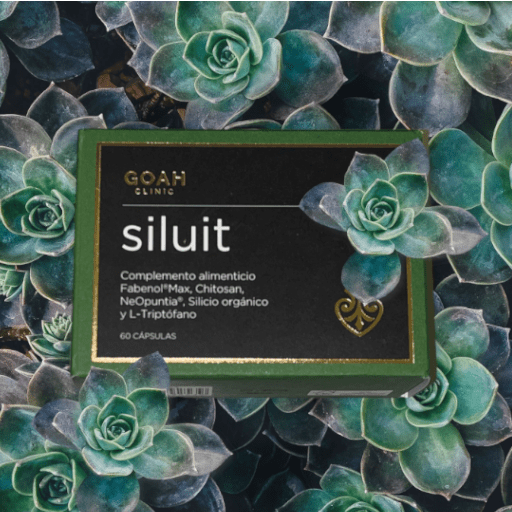 siluit