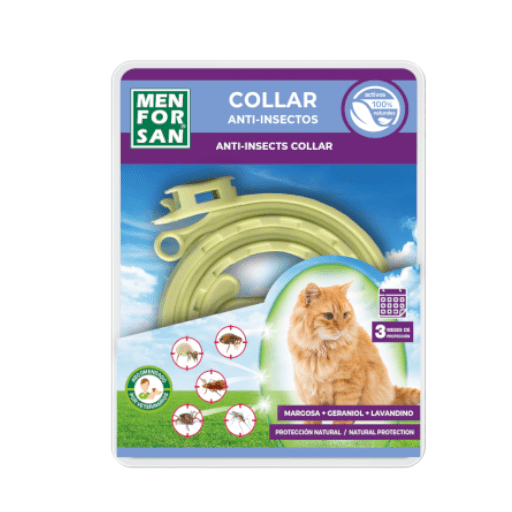 collar para gatos